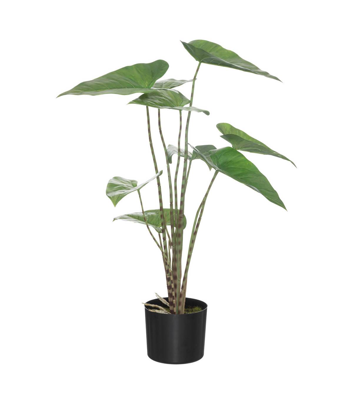 Plante artificielle Zebrina en pot H 74 cm - Imagen 1
