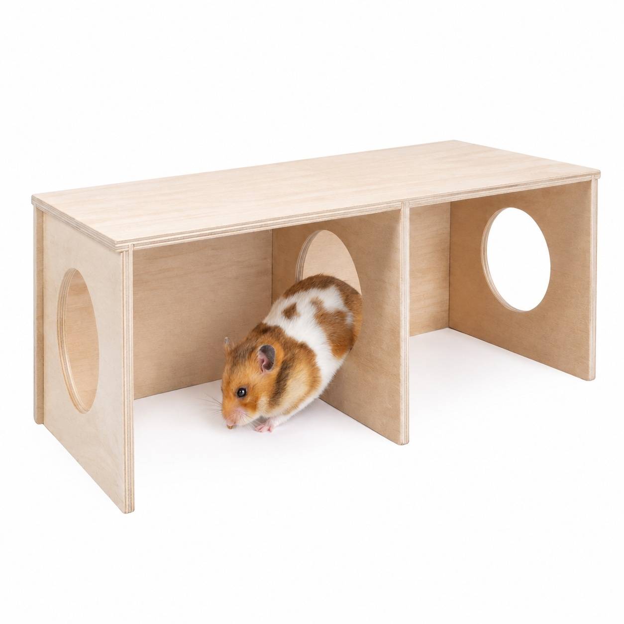 Abri Hamster avec 2 Chambres et Tunnels à Explorer - Image 1