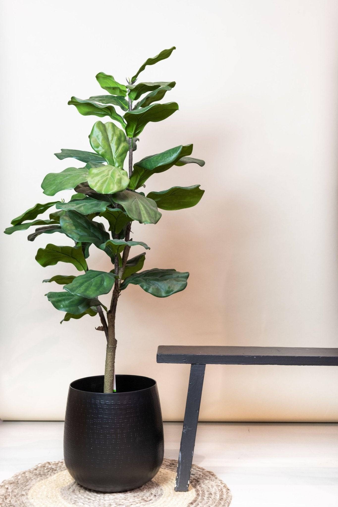 La Green Touch - Ficus Lyrata plante artificielle h125cm, Ø14cm- La Green Touch - Imagen 4