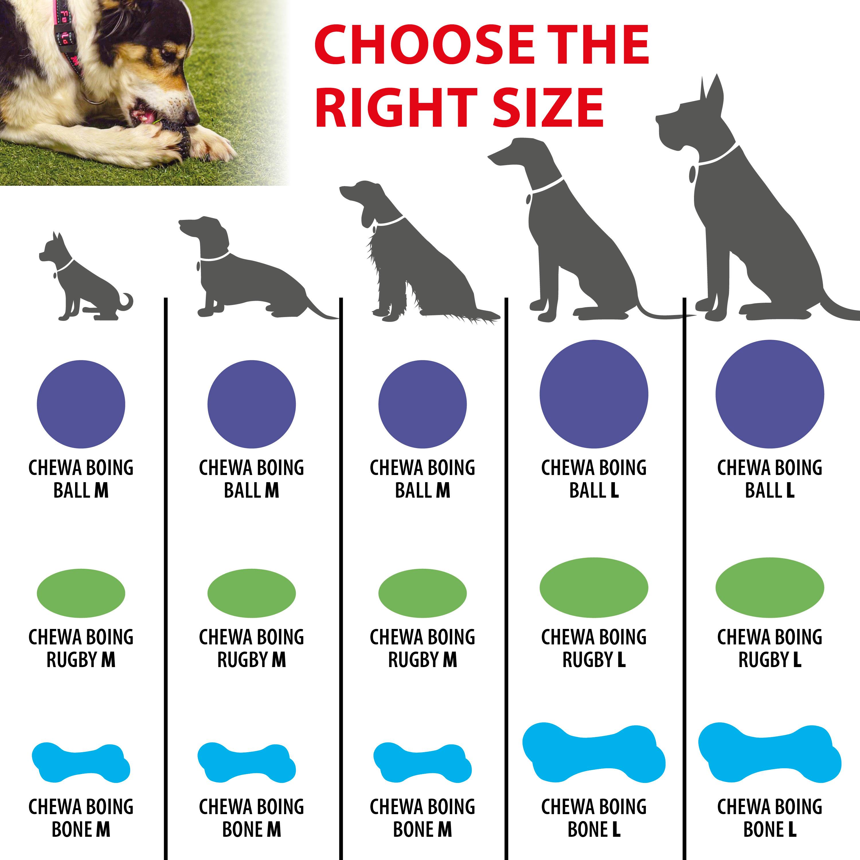 Ferplast - Ferplast Jouet Chien, Os pour chien, en Matériau Durable, Non Toxique, Résistante aux Morsures, Hygiene Dentaire, Rebondissant et Flottant, CHEWA - Imagen 2