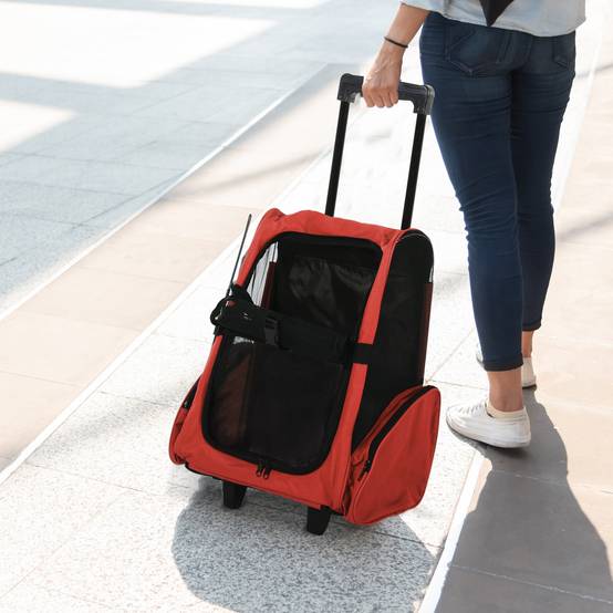 Sac de transport polyester rouge 42 x 25 x 55 cm - PANGIVO - Image 4