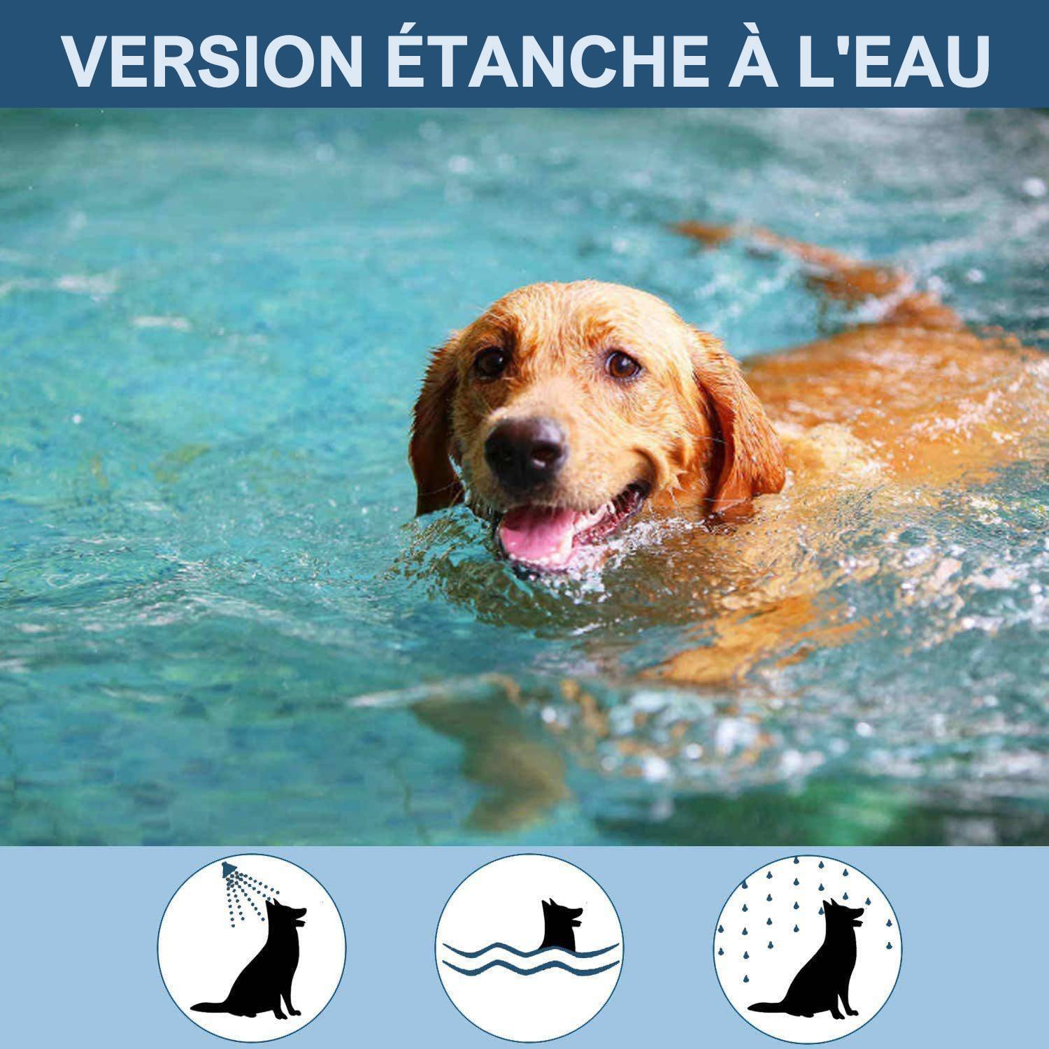 DtopbuyAge - Collier anti-puces et tiques pour chien - Image 3