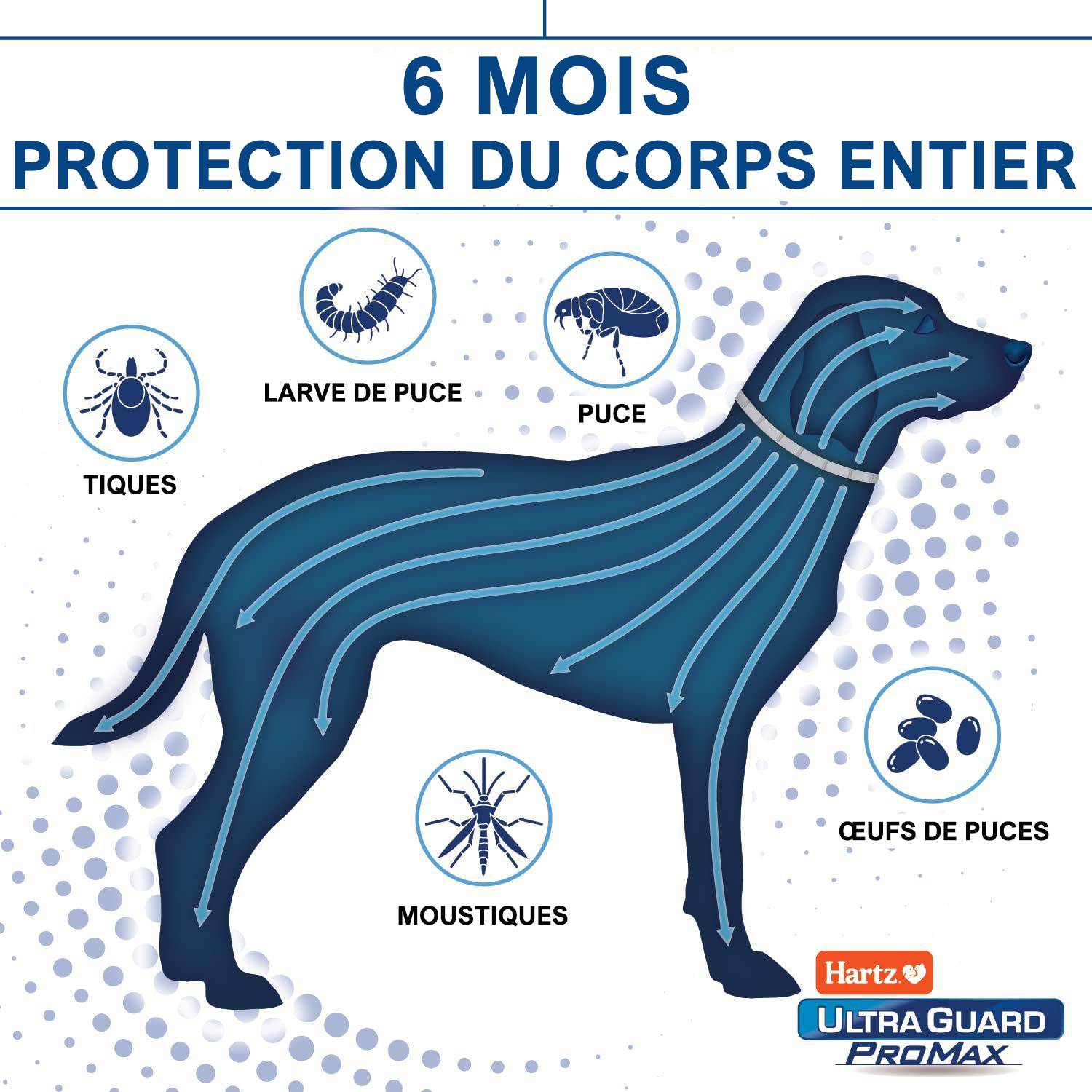 DtopbuyAge - Collier anti-puces et tiques pour chien - Image 2