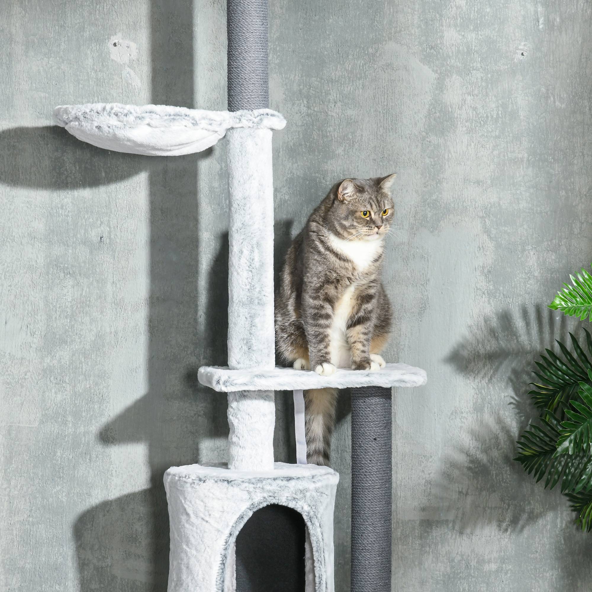 Arbre à chat plafond, hamac, maison, plateformes, balle, 225-255cm, gris - Image 10