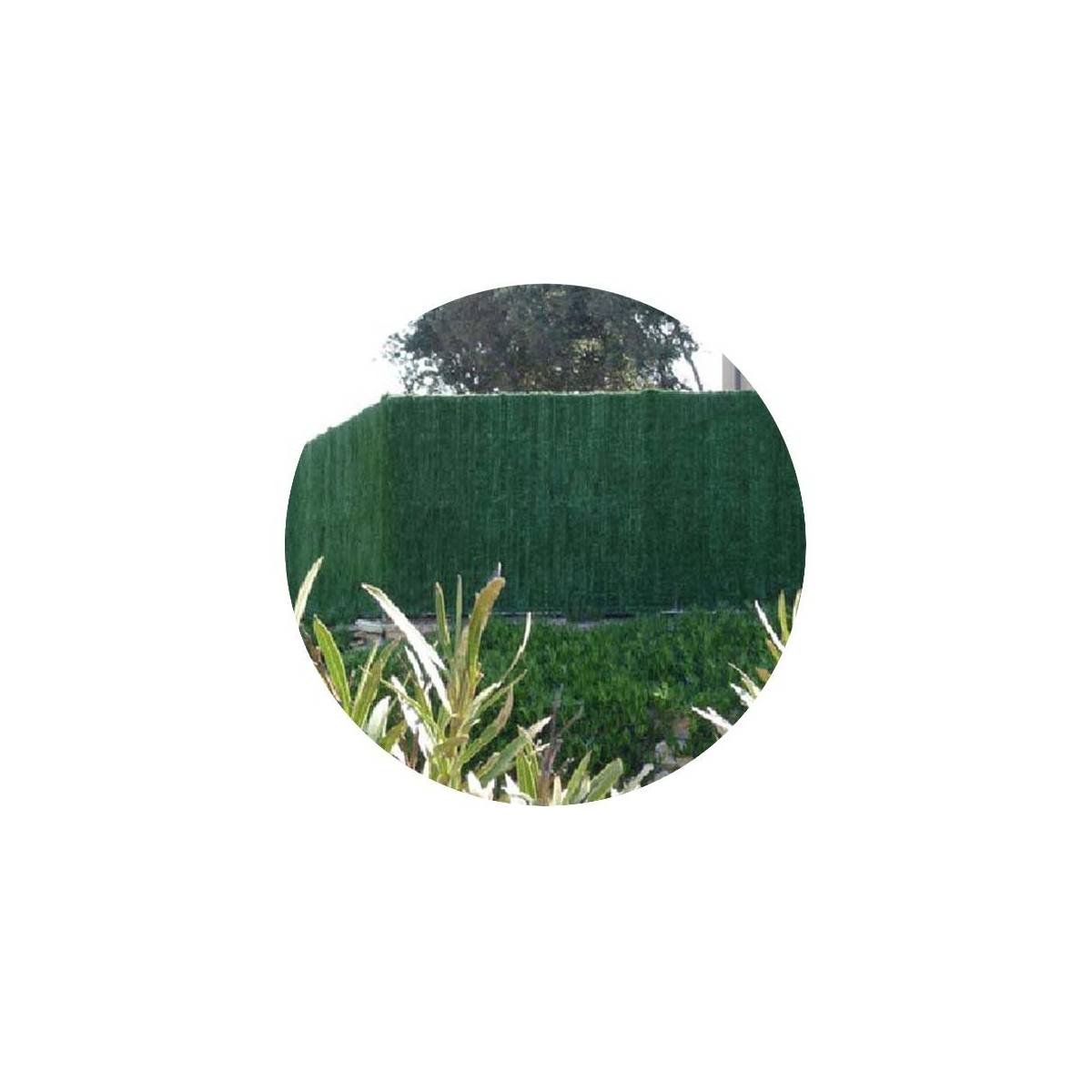 Haie artificielle 126 brins vert thuyas en rouleau Supra (Lot de 8) 2 x 3 m - Imagen 1