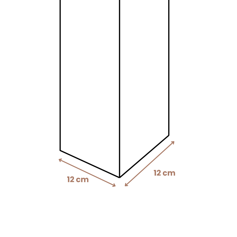CARPORT BOIS 2 VOITURES 30,9M² 6 POTEAUX 12x12 - Image 4