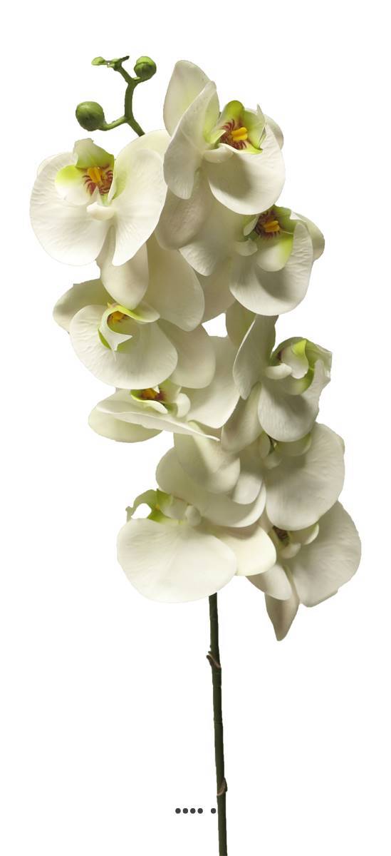 Artificielles - Tige orchidée phalaenopsis faux 9fleurons touché réel H108cmCrème-BEST - couleur: Crème - Imagen 2
