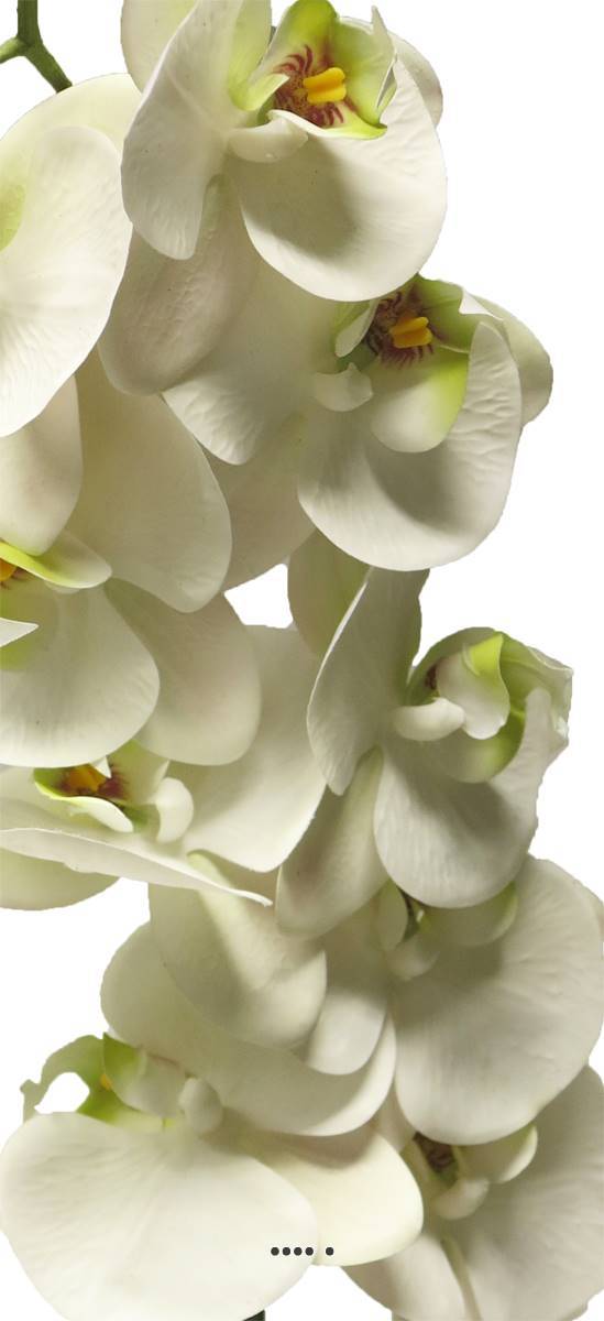 Artificielles - Tige orchidée phalaenopsis faux 9fleurons touché réel H108cmCrème-BEST - couleur: Crème - Imagen 3