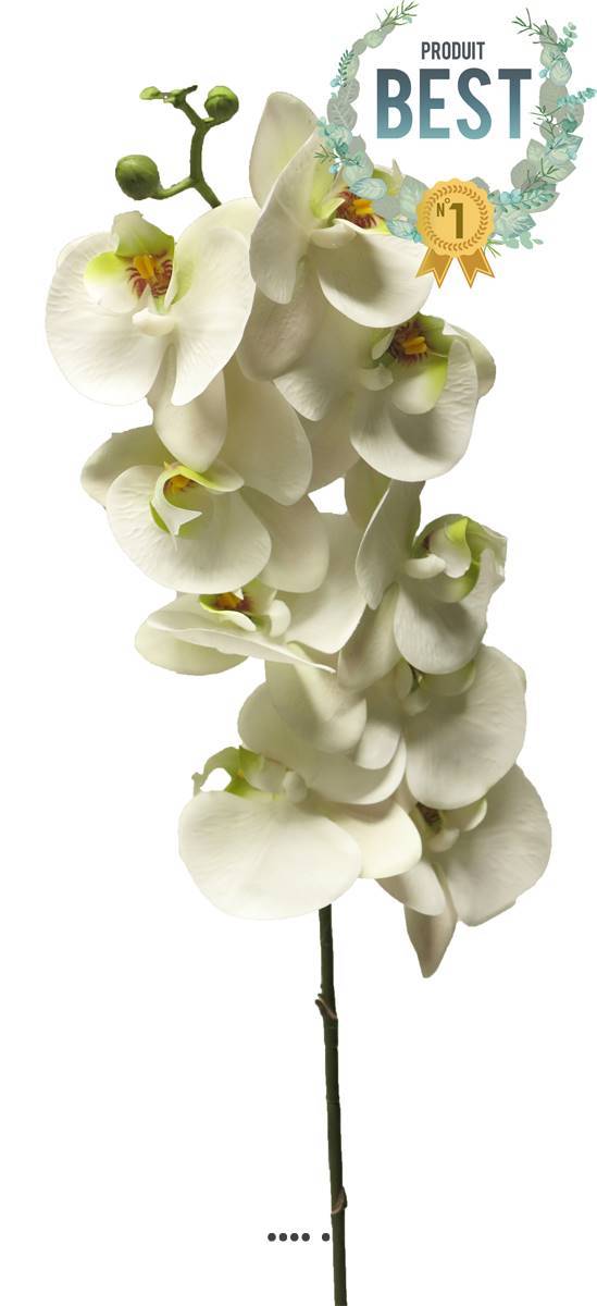 Artificielles - Tige orchidée phalaenopsis faux 9fleurons touché réel H108cmCrème-BEST - couleur: Crème - Imagen 1