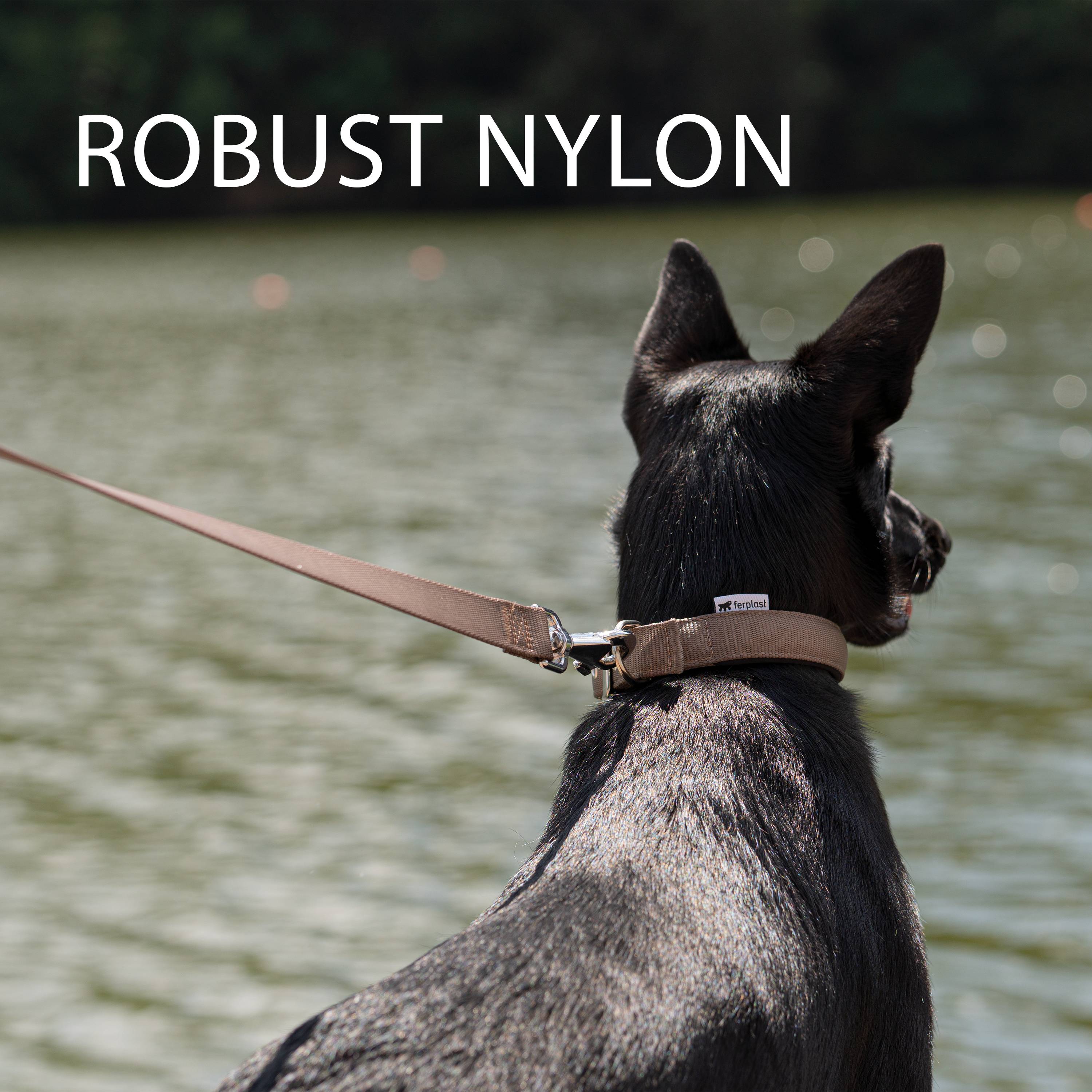 Ferplast - Ferplast laisse pour chien DAYTONA, Laisse en nylon pour petit chien, 120 cm, avec poignée rembourrée confortable et mousqueton en métal. Vert - Imagen 6