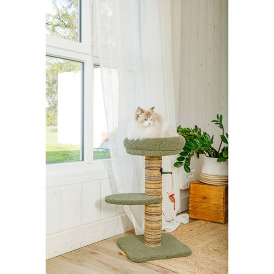 Zolux - Arbre à chat Boréal 70 cm vert pour chat - Image 2