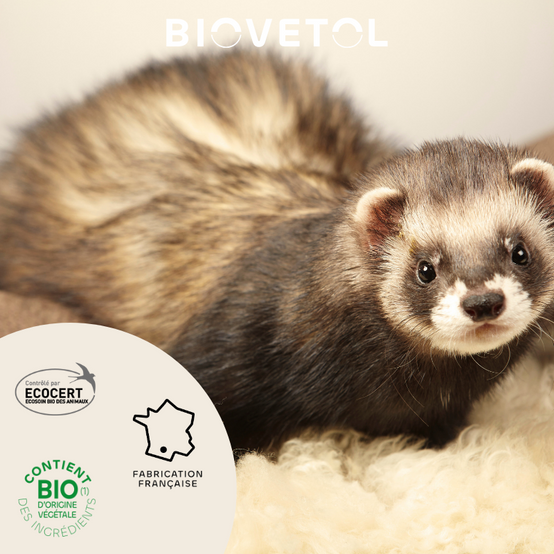 Biovetol - Pipettes antiparasitaires rongeurs 1ml (x3+1 OFFERTE) Bio - Image 5