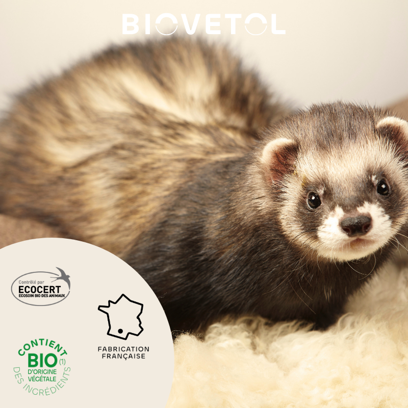 Biovetol - Pipettes antiparasitaires rongeurs 1ml (x3+1 OFFERTE) Bio - Image 5