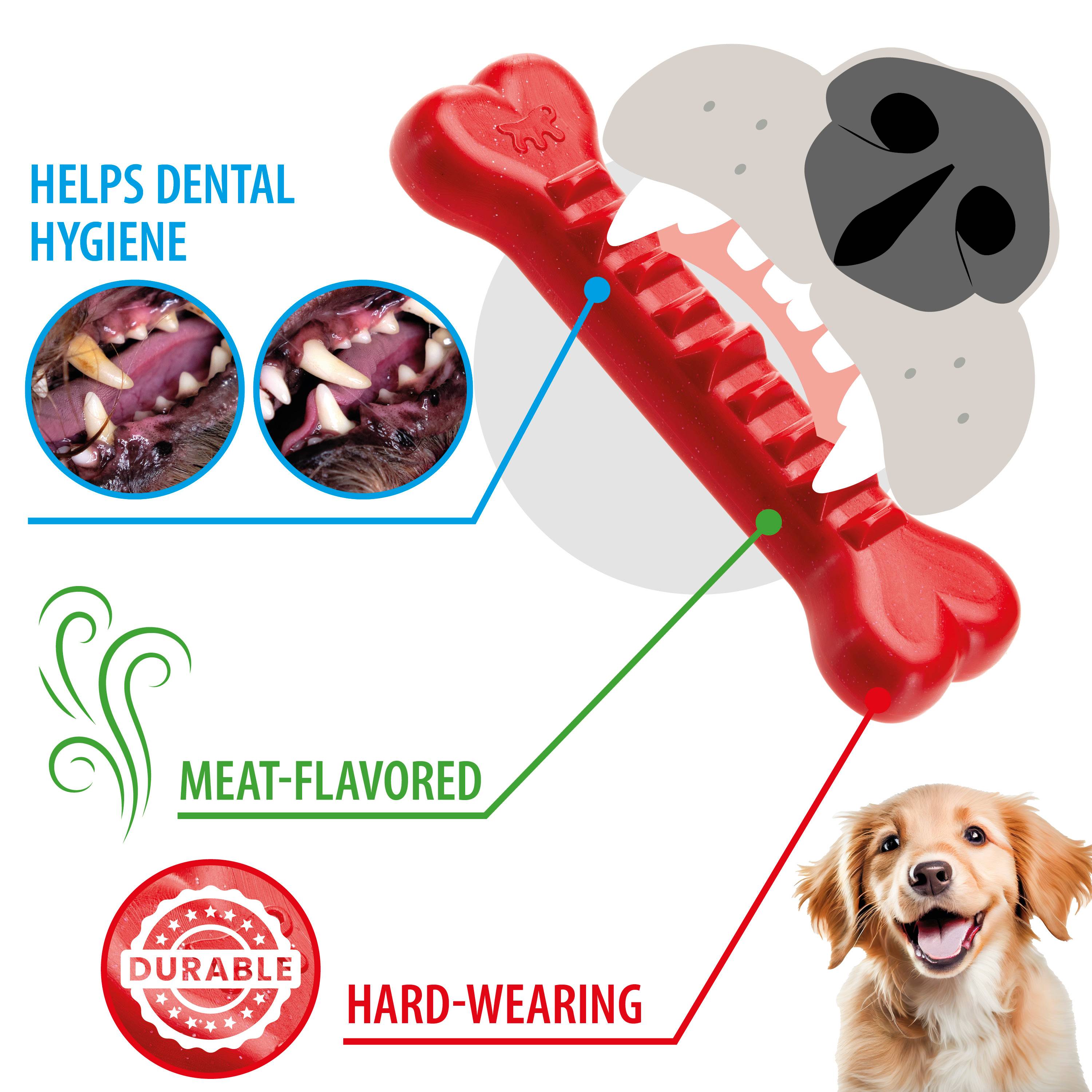Ferplast - Ferplast Jouet Chien, Os Distributeur Croquettes Friandises pour Chien, en Matériau Durable à Mâcher, Arôme de Viande, pour l'Hygiène Dentaire, SMILE - Imagen 4
