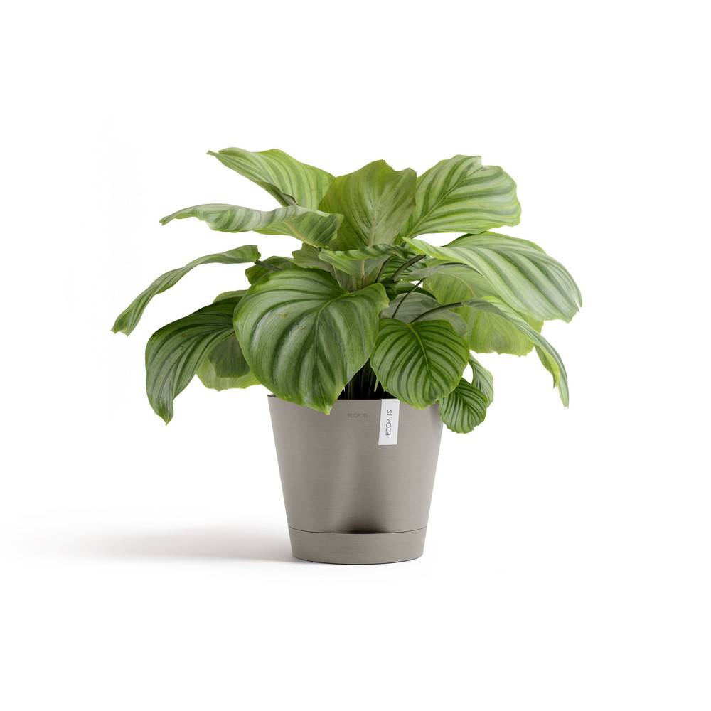 Ecopots - Pot Rond Venice 2 Taupe + réservoir d'eau - Ø 30 x H. 26,3 cm - 4 L ECOPOTS - Imagen 2
