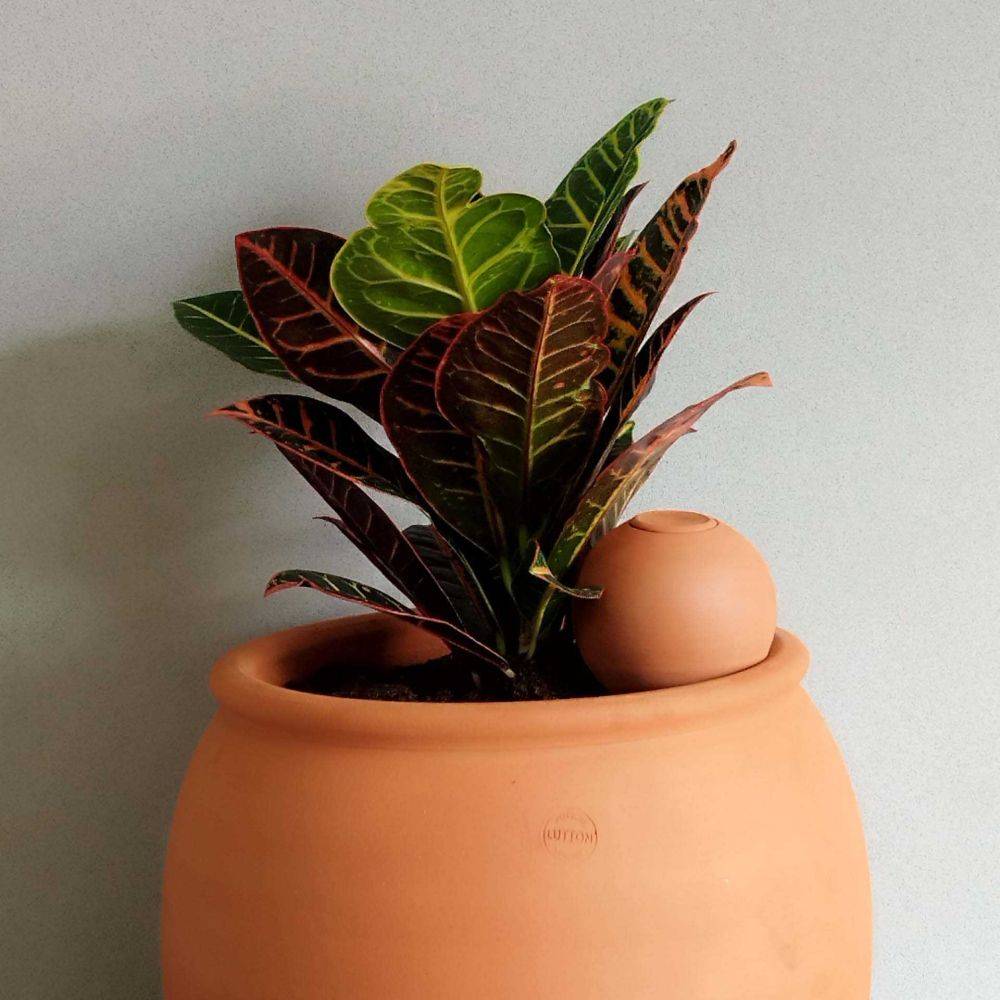Ollas Lutton - Mini ollas à planter en argile - Imagen 2