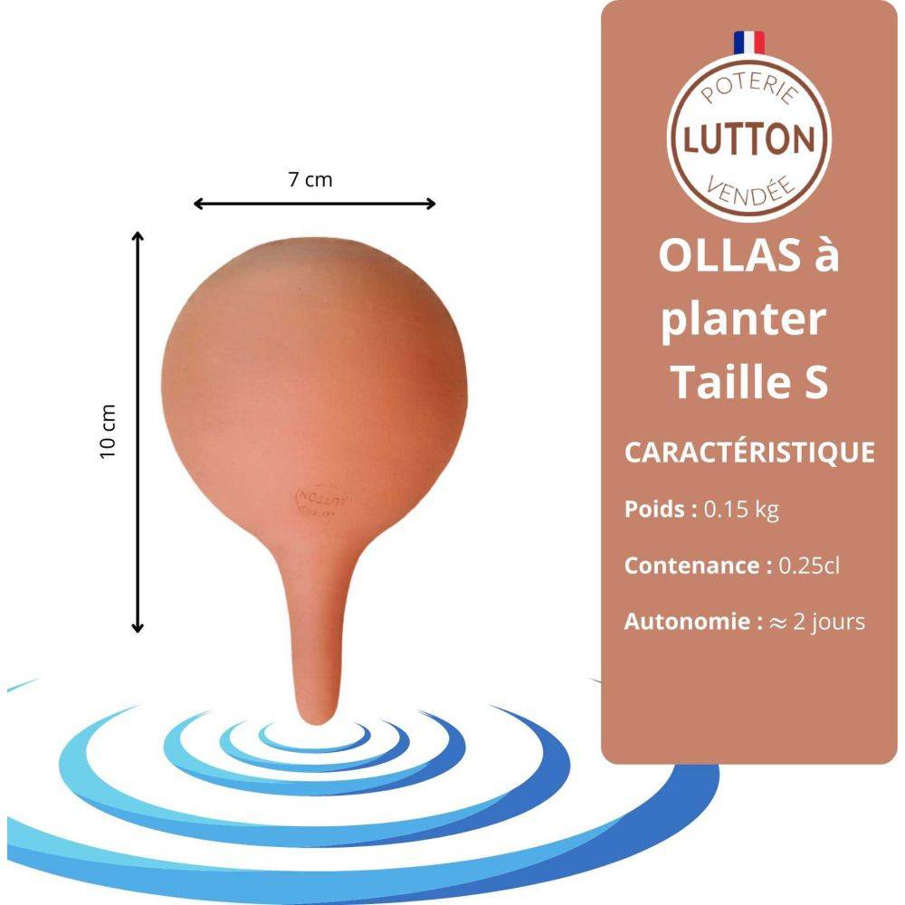 Ollas Lutton - Mini ollas à planter en argile - Imagen 3