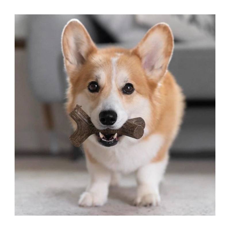 Benebone Lot De 2 Jouets A Mâcher Pour Petits Chiens - Image 3