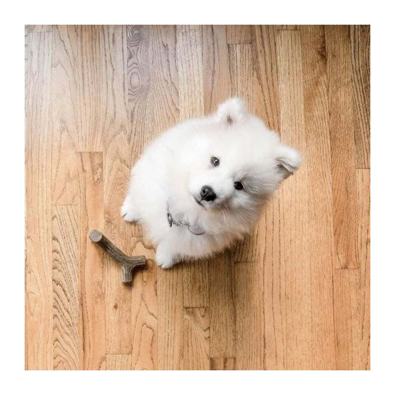Benebone Lot De 2 Jouets A Mâcher Pour Petits Chiens - Image 4