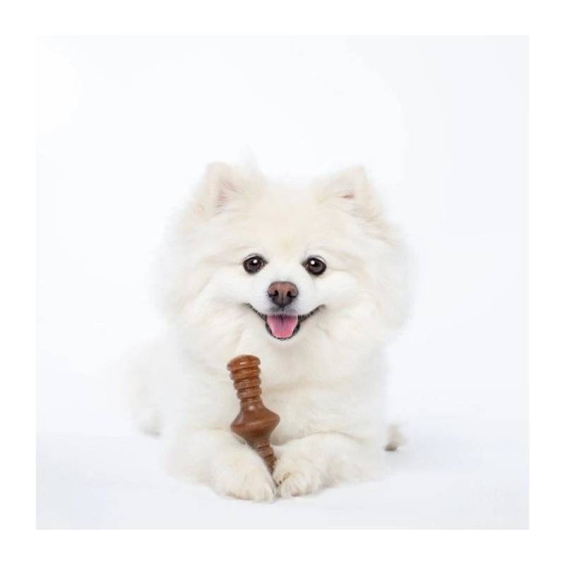 Benebone Lot De 2 Jouets A Mâcher Pour Petits Chiens - Image 5
