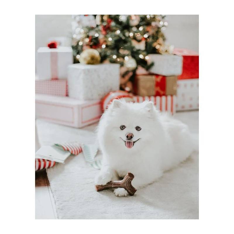 Benebone Lot De 2 Jouets A Mâcher Pour Petits Chiens - Image 2