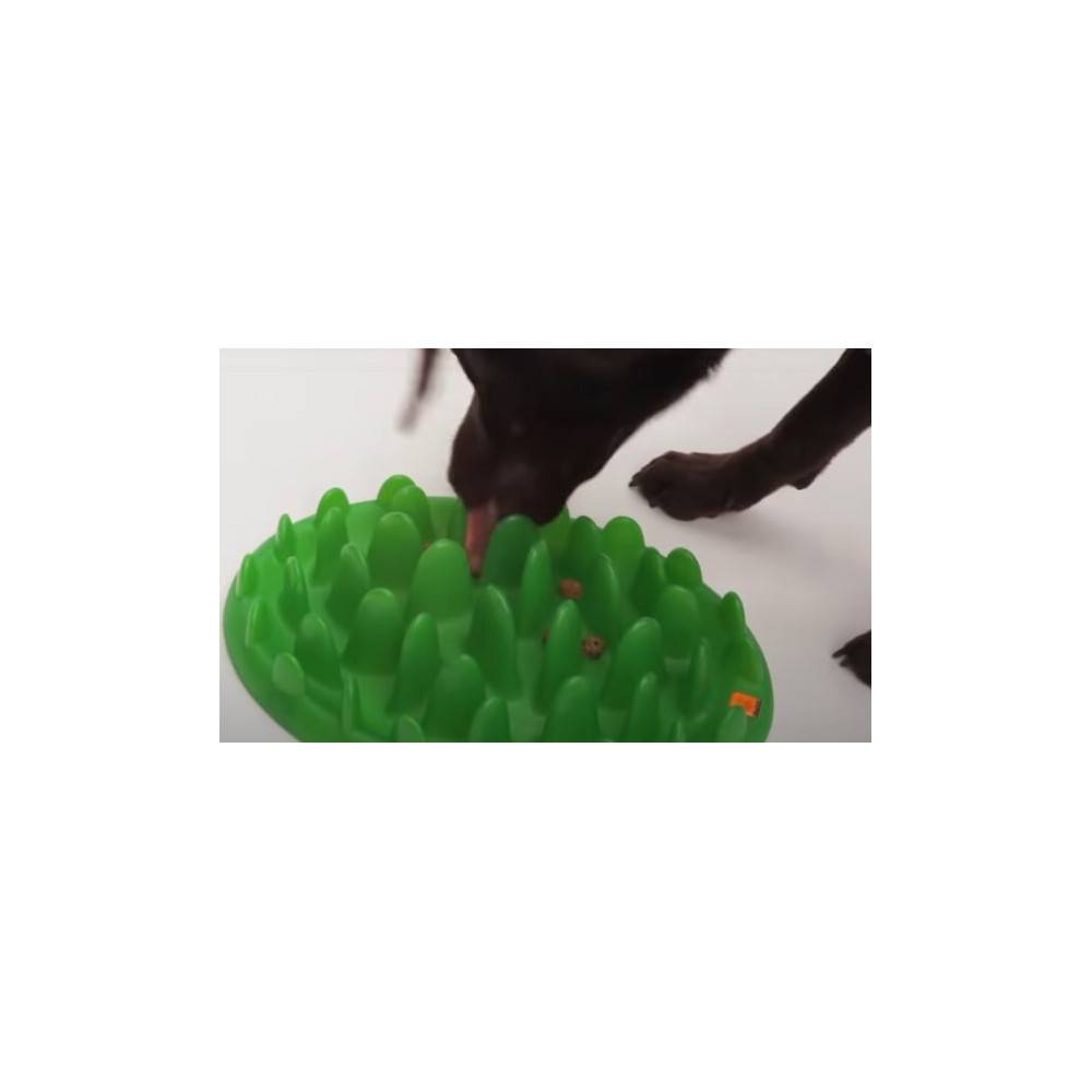 Gamelle plateau anti glouton 40 cm pour chien - Imagen 5
