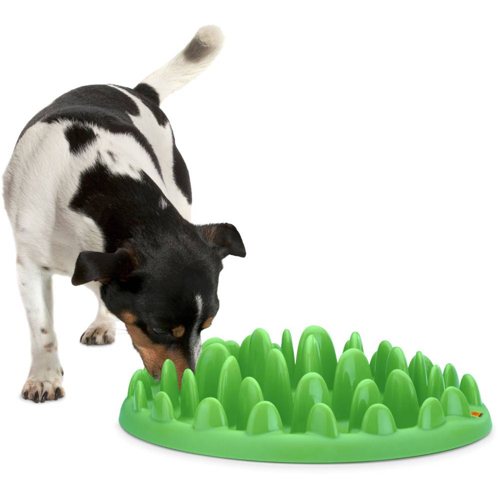 Gamelle plateau anti glouton 40 cm pour chien - Imagen 1