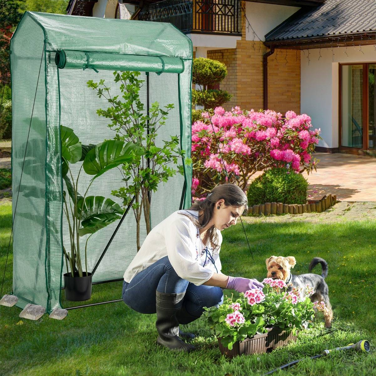Serre de jardin 0.5m² Serre de culture Serre Tunnel - 100 x 50 x 170 cm avec Porte Zippée Enroulable et Housse de Grille Plastique PE MAISON CHIC - Image 4