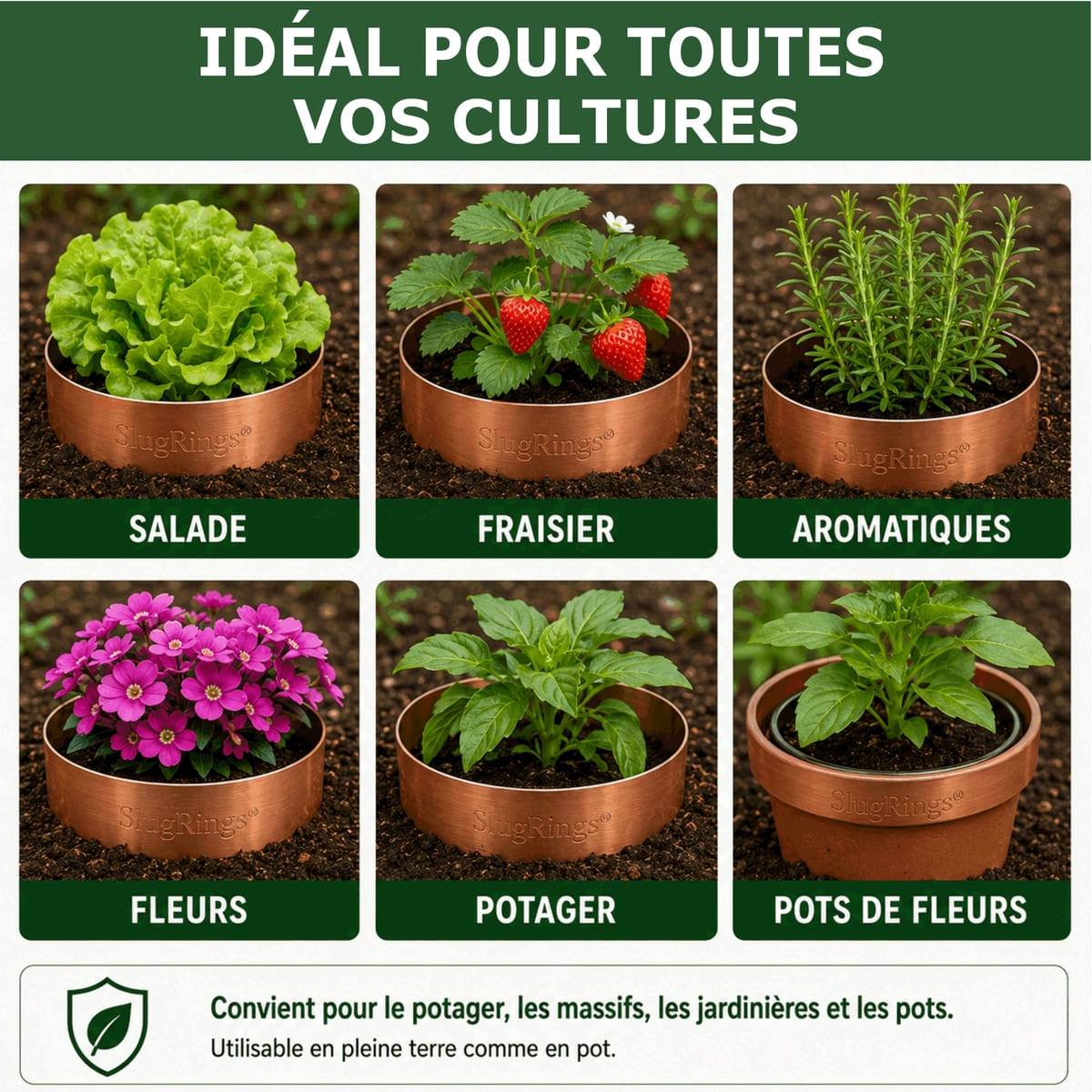 Tout pour les nuisibles - 6 Anneaux de Cuivre Anti-Limaces et Escargots SOLU'LIMACES – Ø17 cm - Protection des Salades, Fraisiers, Aromatiques, Potager et Fleurs - Image 4