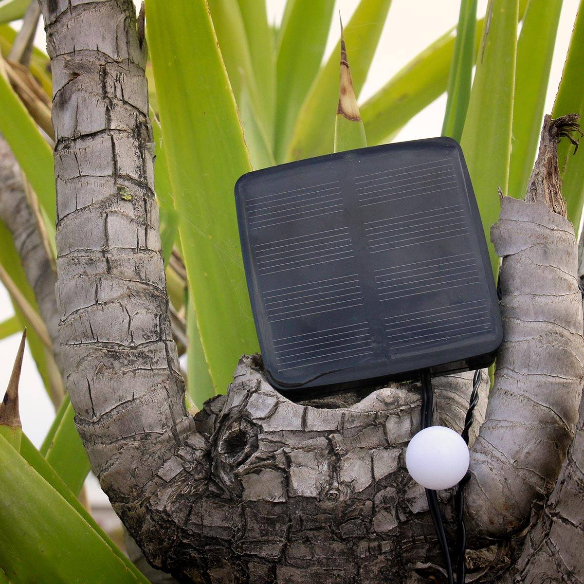 Lumisky - Guirlande solaire BILLY 60 globes 6.9M - Imagen 7