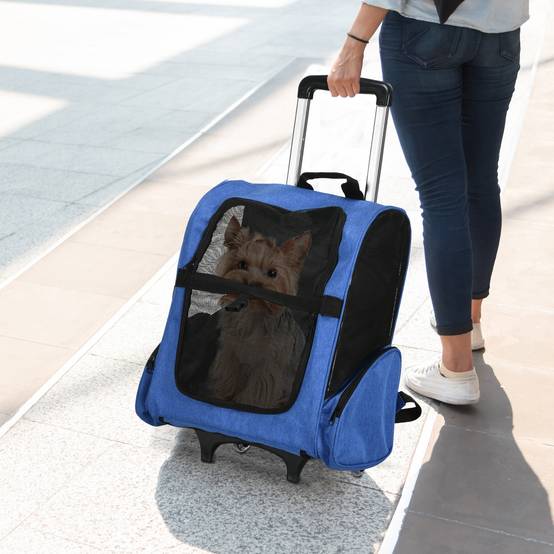 Sac de transport trolley tissu Oxfords bleu 42 x 25 x 55 cm - PANGIVO - Image 4