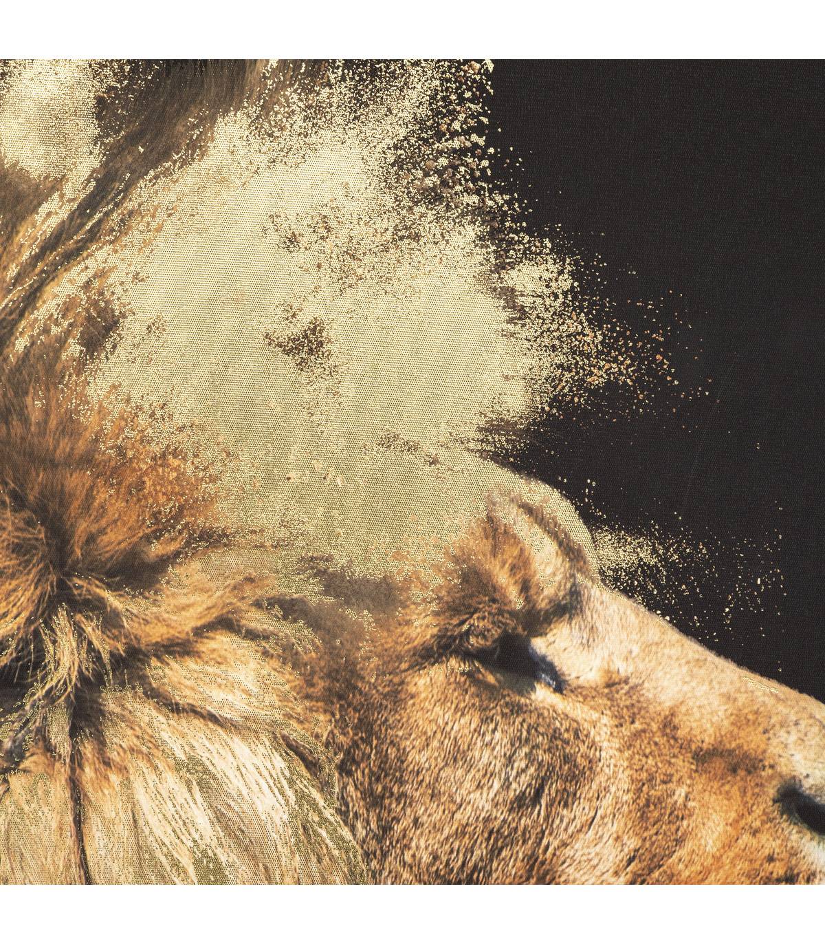 Tableau Toile murale imprimée et encadrée Lion 60 x 90 cm - Imagen 3