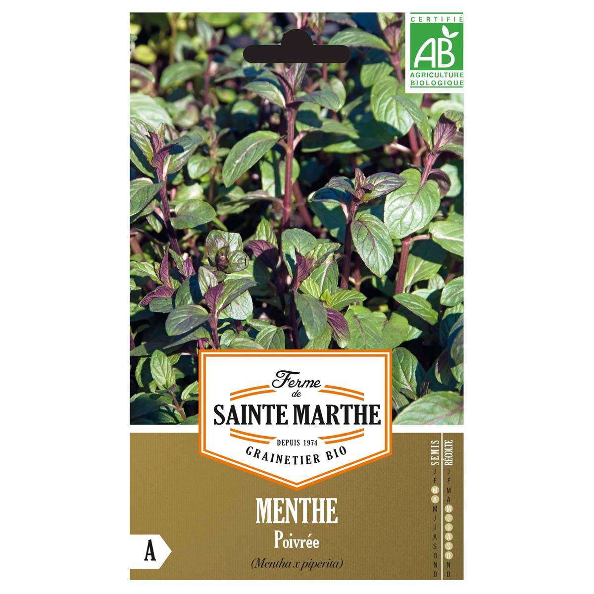 Menthe poivrée Bio - Ferme de Sainte Marthe le sachet de 1500 graines environ (0,1g)