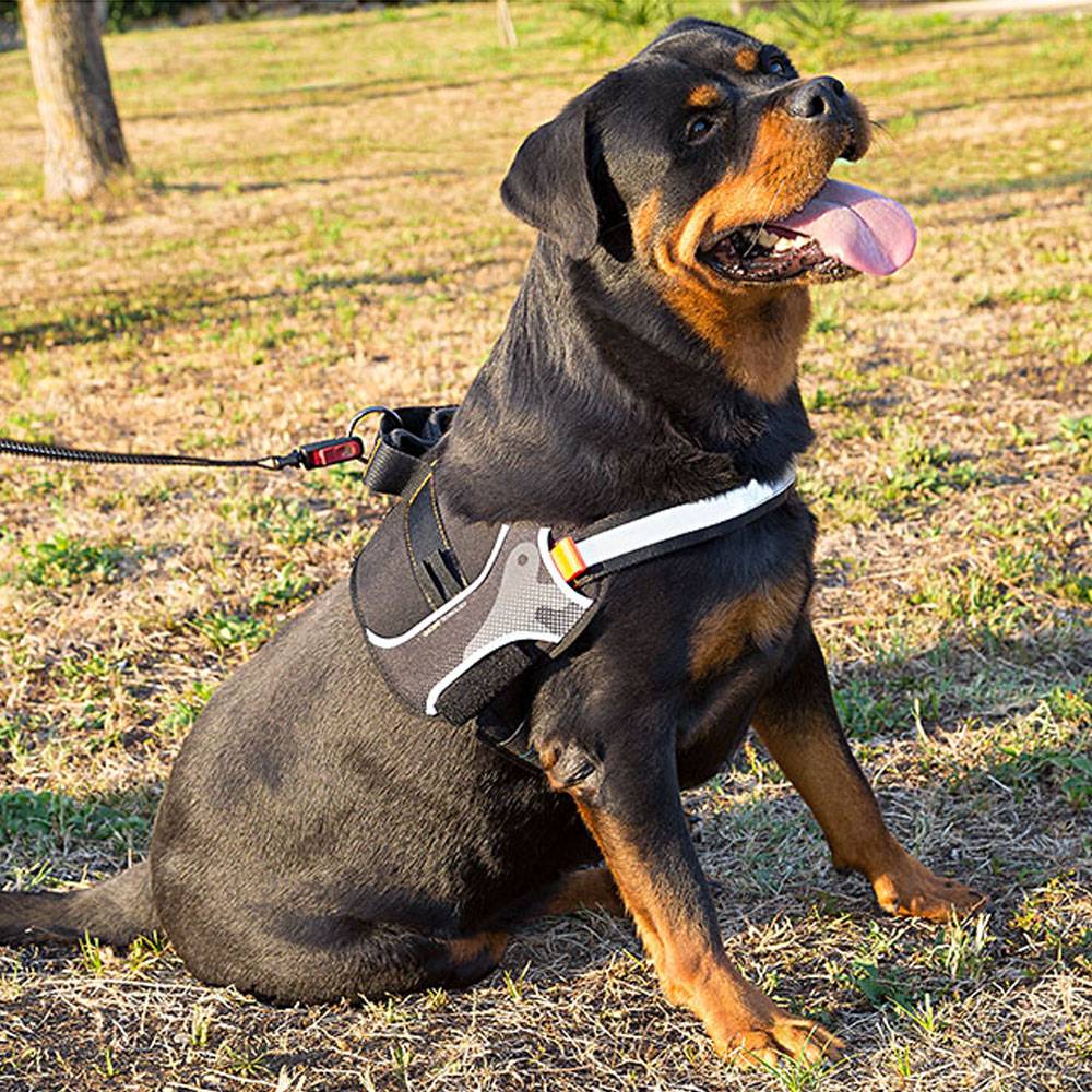 Ferplast - Harnais pour Chiens HERCULES EXTRA LARGE, Rembourré, Résistant, Anti-griffures, Visible dans l'Obscurité, avec Poignée - Imagen 3