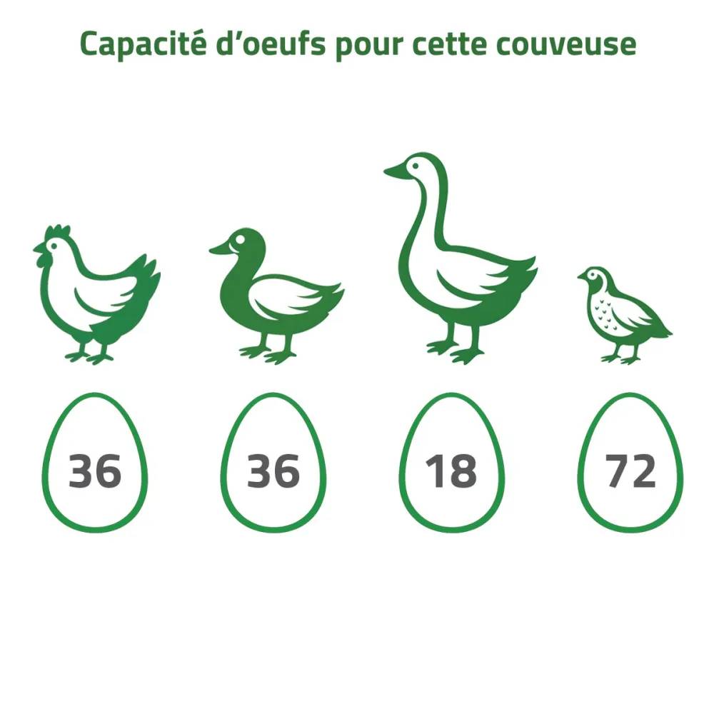 Couveuse automatique Couvitech SP-36 – 36 œufs - Image 9