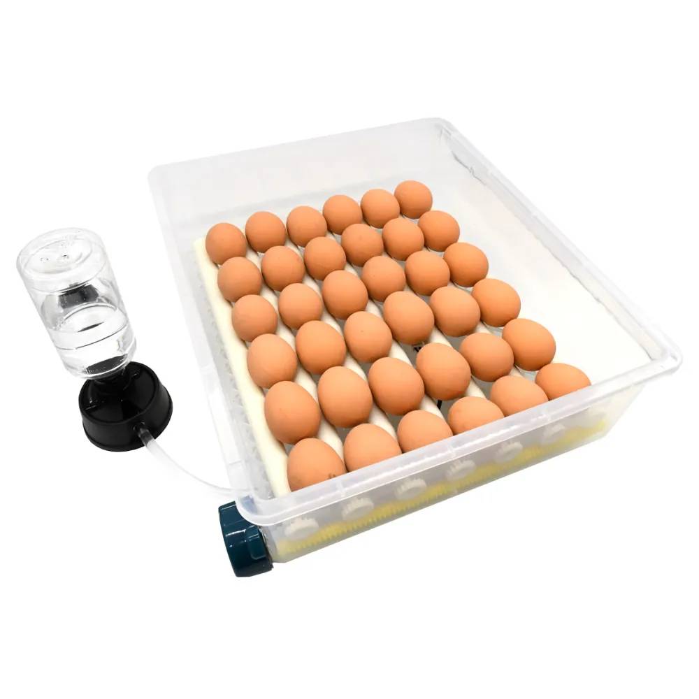 Couveuse automatique Couvitech SP-36 – 36 œufs - Image 7