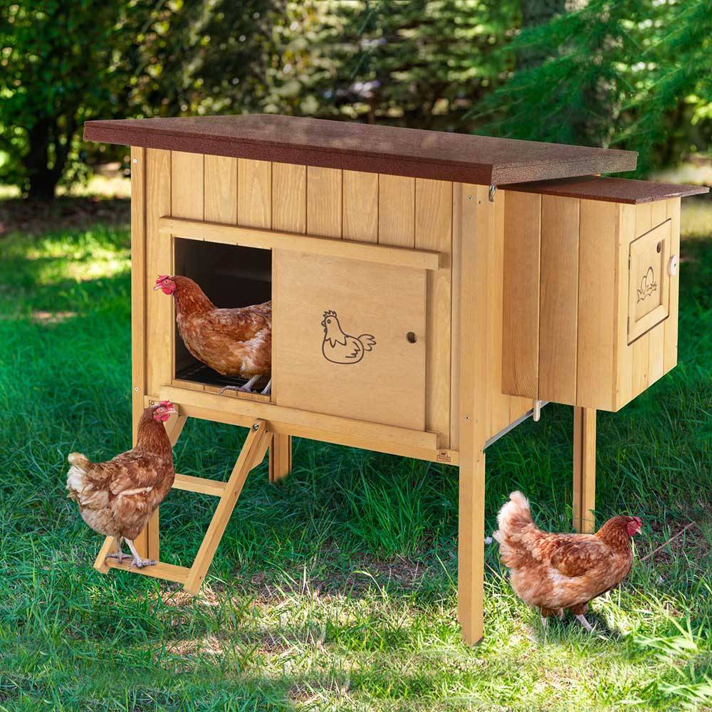 Ferplast - Ferplast Poulailler maisonnette pour poules pondeuses HEN HOUSE 10 d'extérieur, en bois FSC, pour environ 4 poules, accessoires inclus - Imagen 4