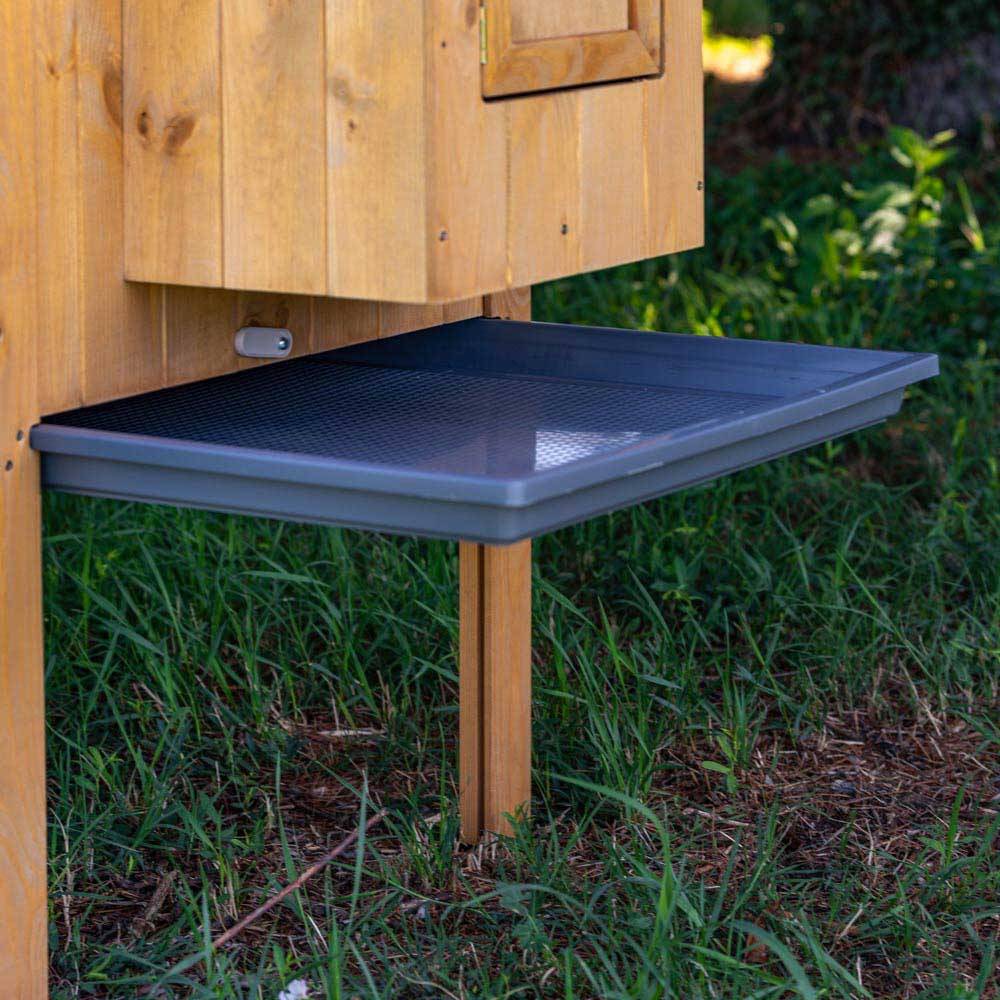 Ferplast - Ferplast Poulailler maisonnette pour poules pondeuses HEN HOUSE 10 d'extérieur, en bois FSC, pour environ 4 poules, accessoires inclus - Imagen 9