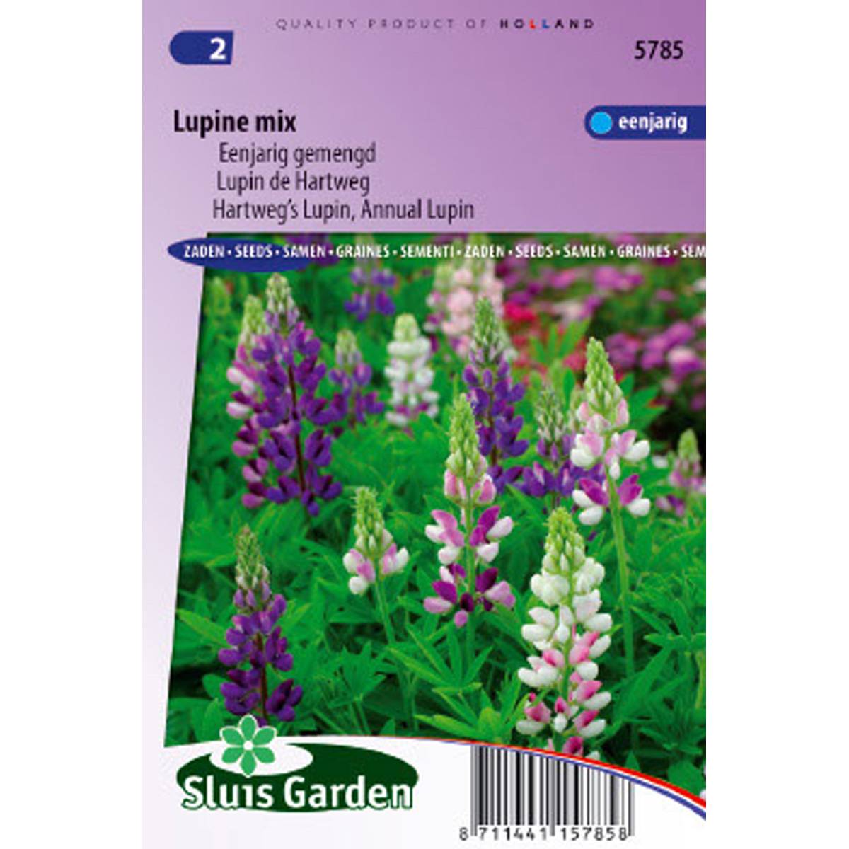 Graines de Lupin annuel en mélange - Lupinus hartwegii le sachet de 80 graines environ (1,5g)