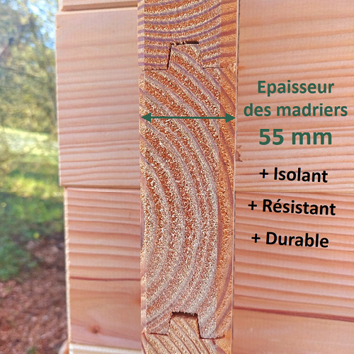 Studio de jardin RIVOIRE 9m² - Bois Douglas épaisseur 55mm - Porte & fenêtres PVC - Toiture Bacacier avec voliges ss toiture - MON CHALET DE JARDIN - Image 4