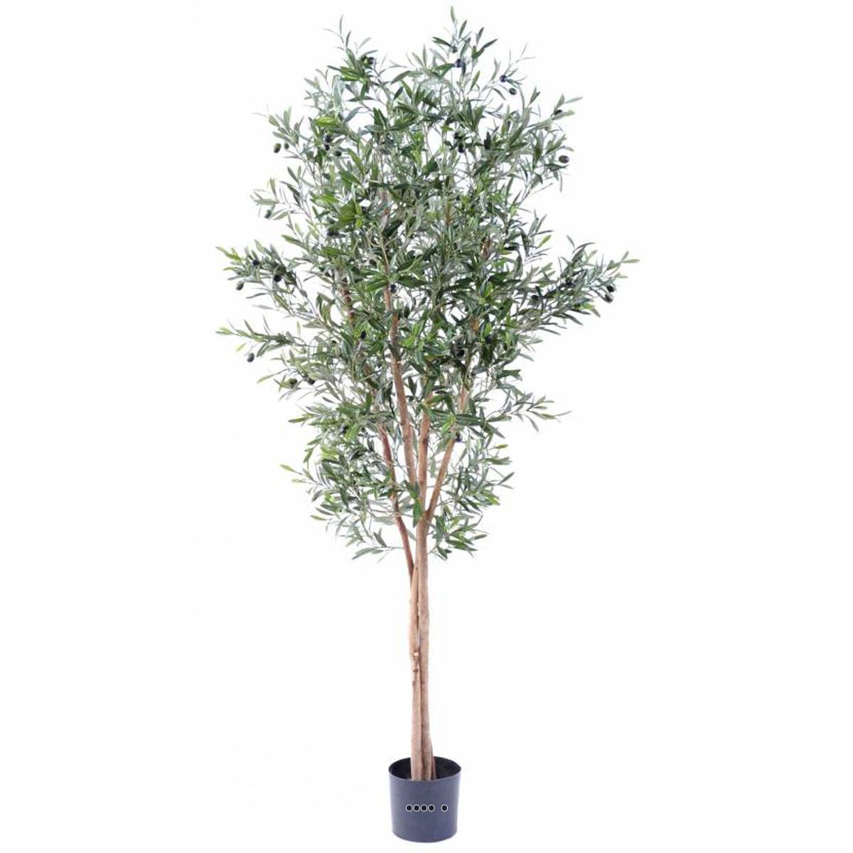 Artificielles - Olivier artificiel en pot 3 troncs H 180 cm Vert - dimhaut: H 180 cm - couleur: Vert