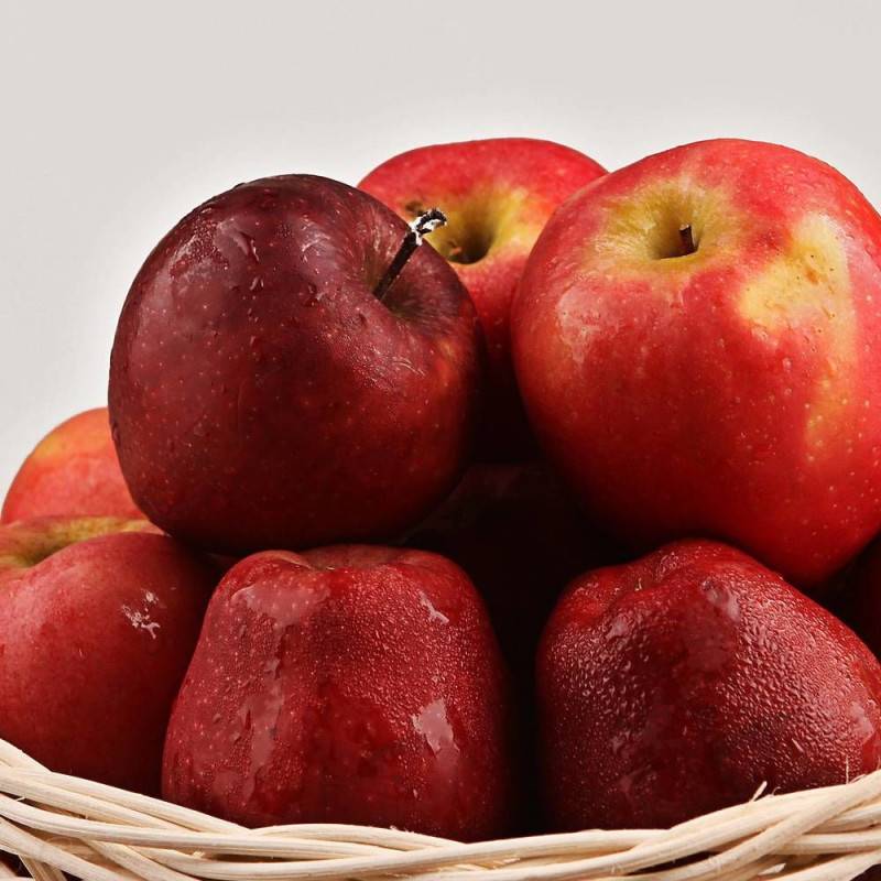 Pommier Boskoop Rouge - Bon rendement - Pot de 10L - Gobelet 2 ans - 120/150 cm - De 3,00 m à 5,00 m - Imagen 7