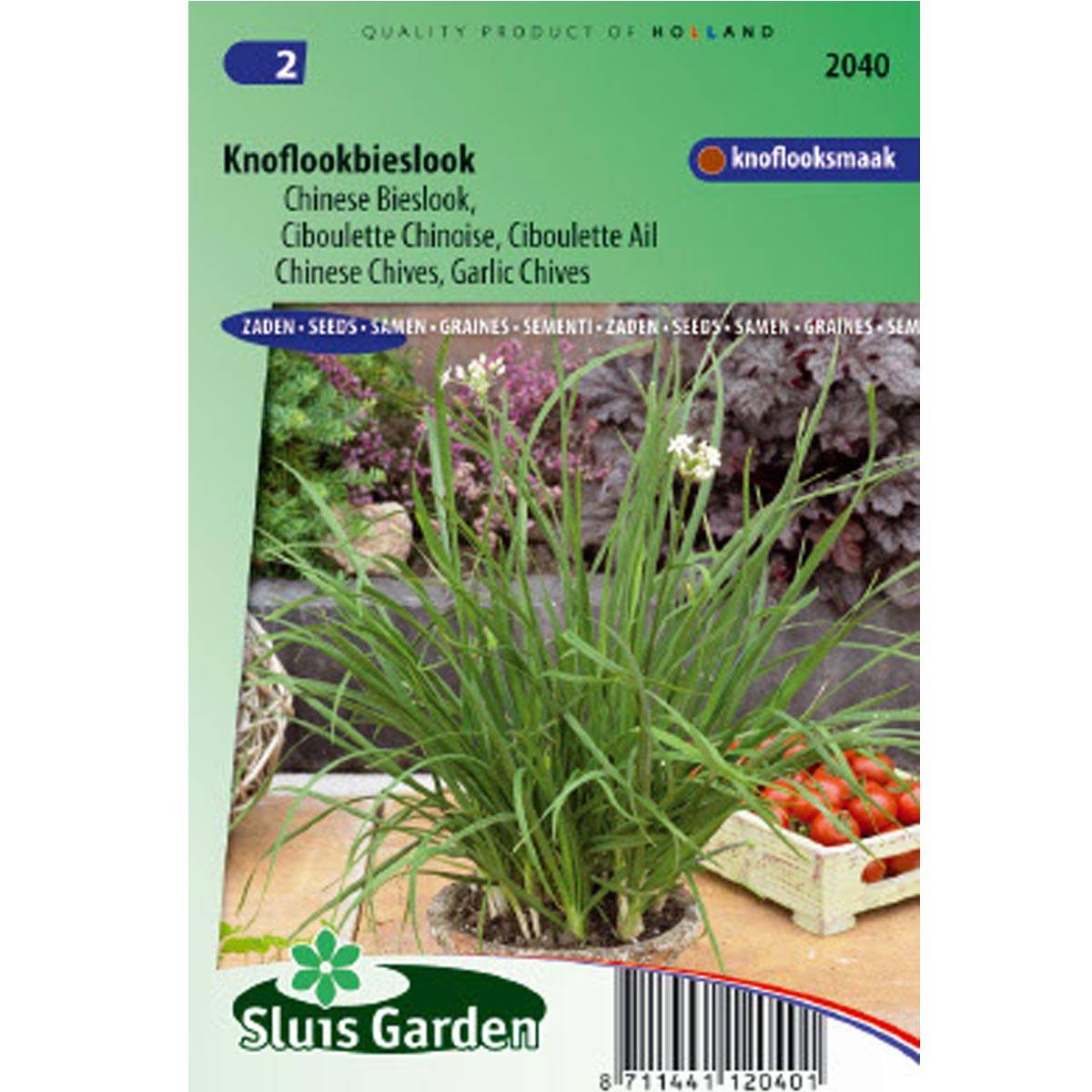 Ciboulette de Chine - Allium tuberosum le sachet de 200 graines environ (1g)