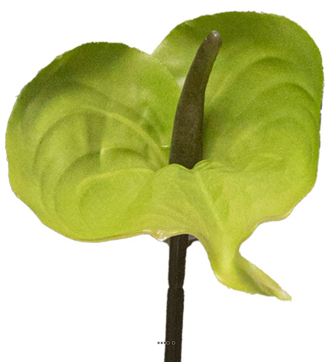Artificielles - Anthurium artificiel H 67 cm Vert-jaune - dimhaut: H 67 cm - couleur: Vert-jaune - Imagen 3