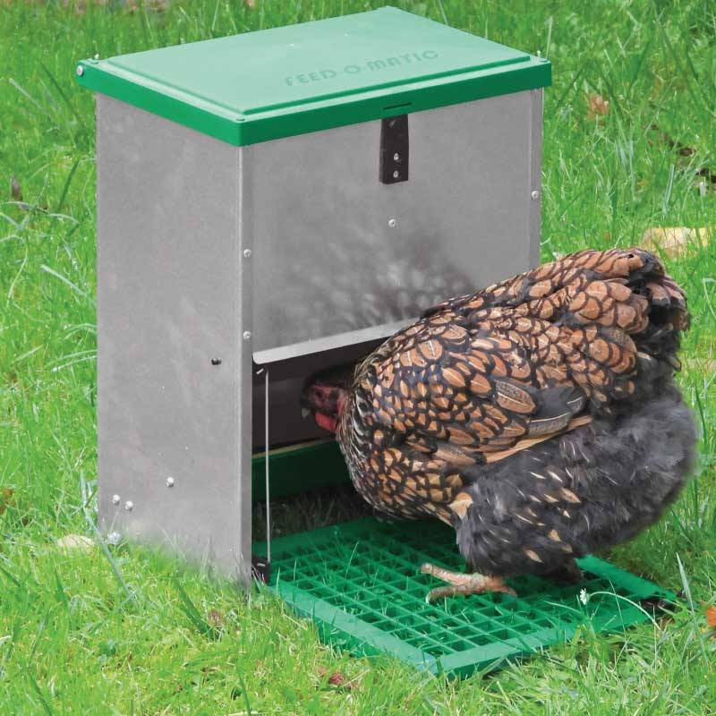 Olba - Mangeoire à trémie anti nuisibles Olba Feedomatic 12kg Olba - Image 9