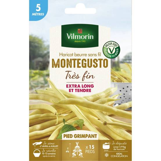 Vilmorin - Graines de Haricot beurre sans fil MONTEGUSTO très fin - 5 mètres