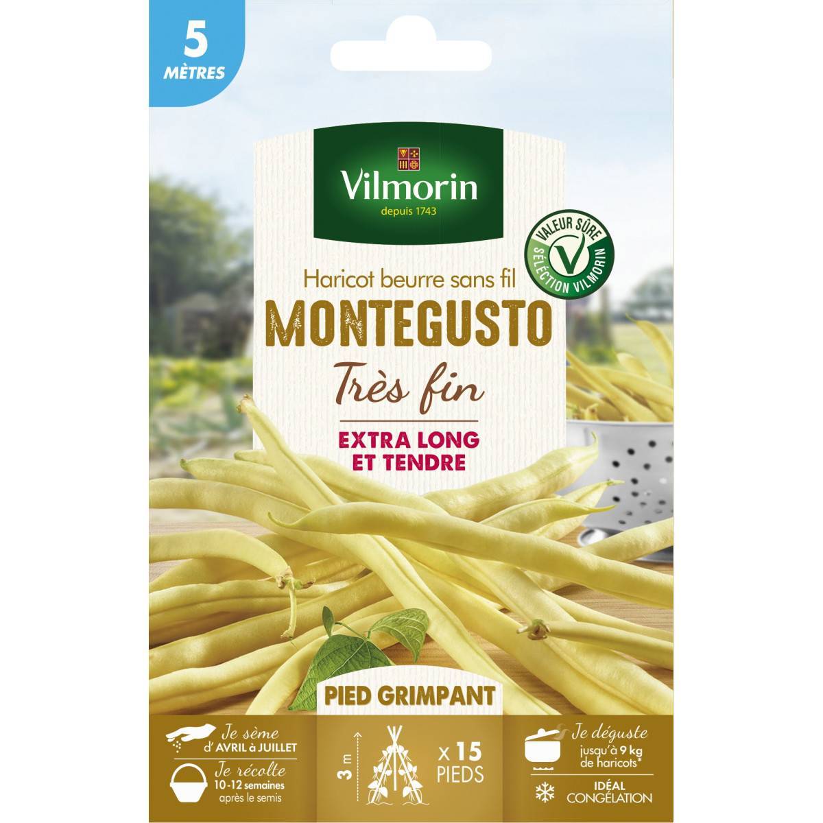 Vilmorin - Graines de Haricot beurre sans fil MONTEGUSTO très fin - 5 mètres