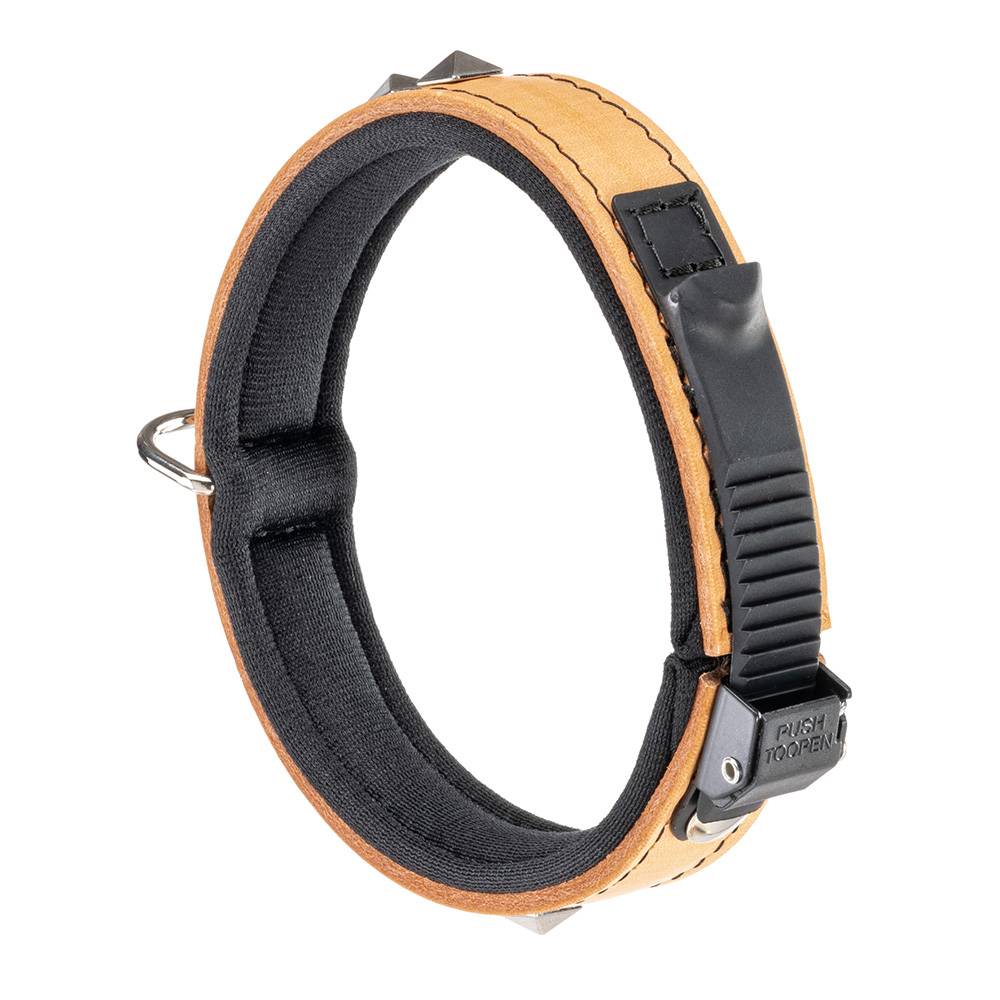 Ferplast - Collier pour Chiens GIOTTO LUXOR C20/34, en Cuir Véritable avec Clous Argentés - Imagen 3