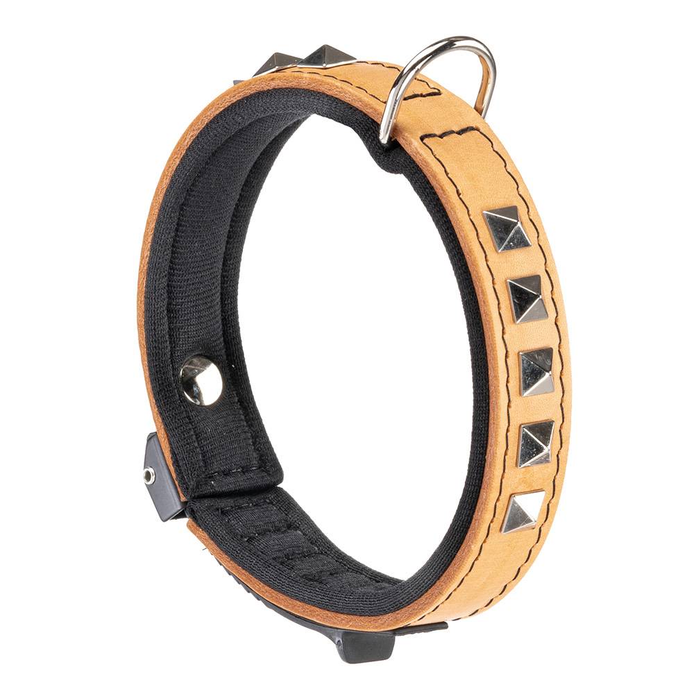 Ferplast - Collier pour Chiens GIOTTO LUXOR C20/34, en Cuir Véritable avec Clous Argentés - Imagen 1