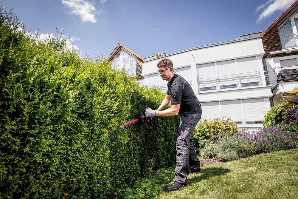 Metabo - Taille-haies 18 V sans fil HS 18 LTX 55 Pick+Mix - sans batterie ni chargeur Metabo - Imagen 3